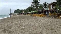Buck Wild Shows White Beach Puerto Galera Philippines Thumb